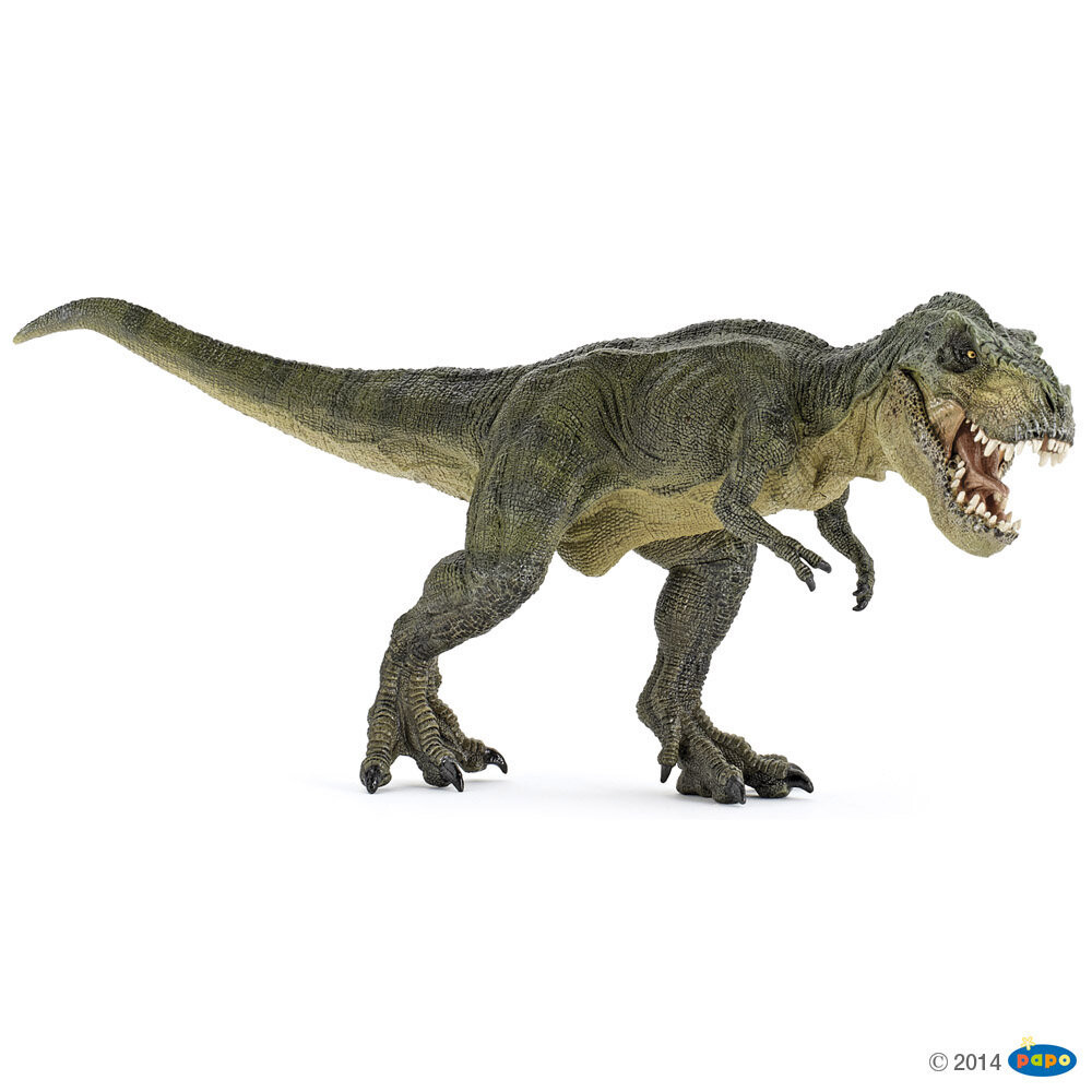 Papo T-rex бегущий зеленый 31x9,6x12,5см (55027)
Papo T-rex бегущий зеленый 31x9,6x12,5см (55027)