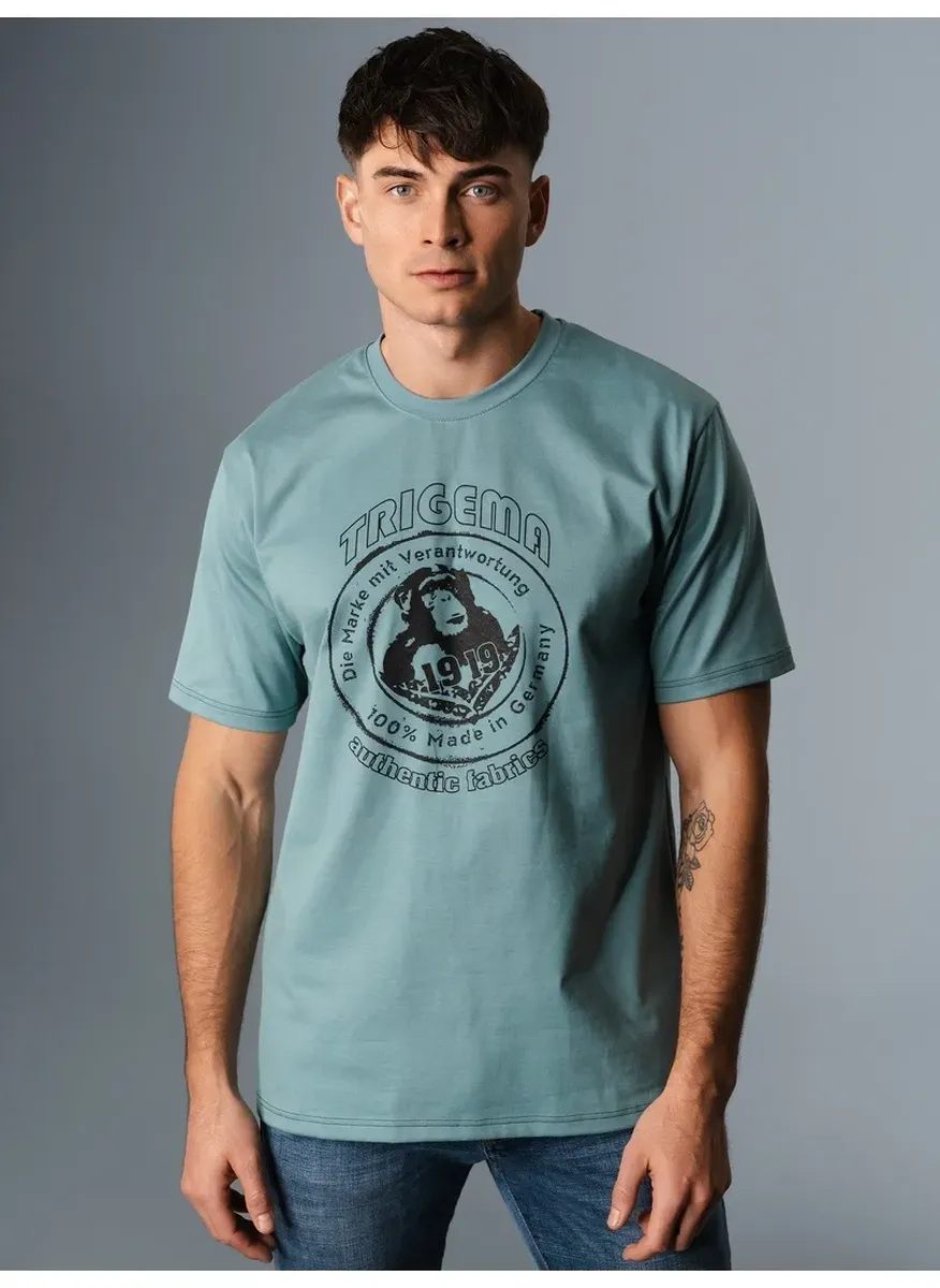 Футболка Trigema "Футболка TRIGEMA с крупным принтом "TRIGEMA 1919"", цвет Seegras
Футболка Trigema "Футболка TRIGEMA с крупным принтом "TRIGEMA 1919"", цвет Seegras