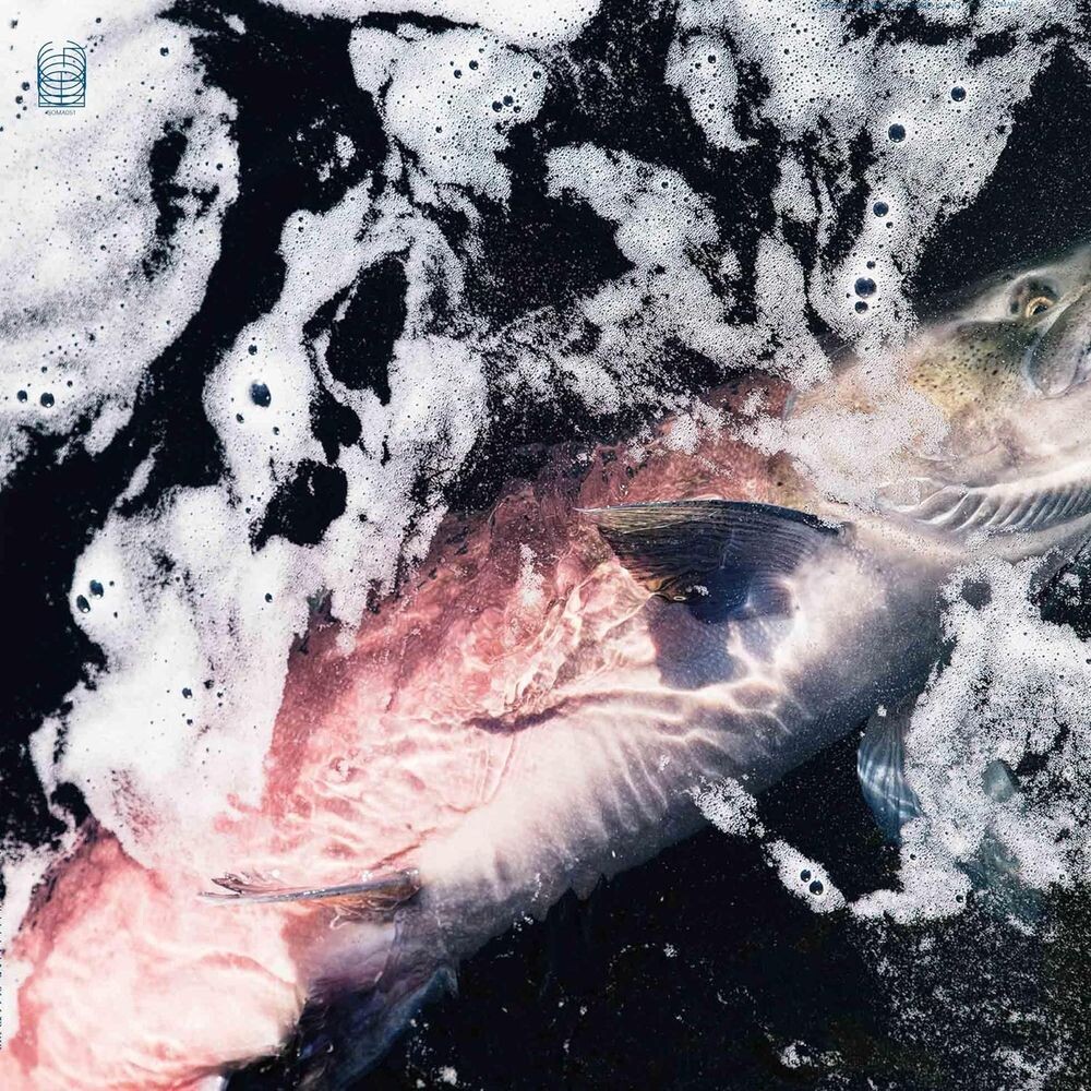 Виниловая пластинка LP Azure - Jessika Kenney, Eyvind Kang
Виниловая пластинка LP Azure - Jessika Kenney, Eyvind Kang