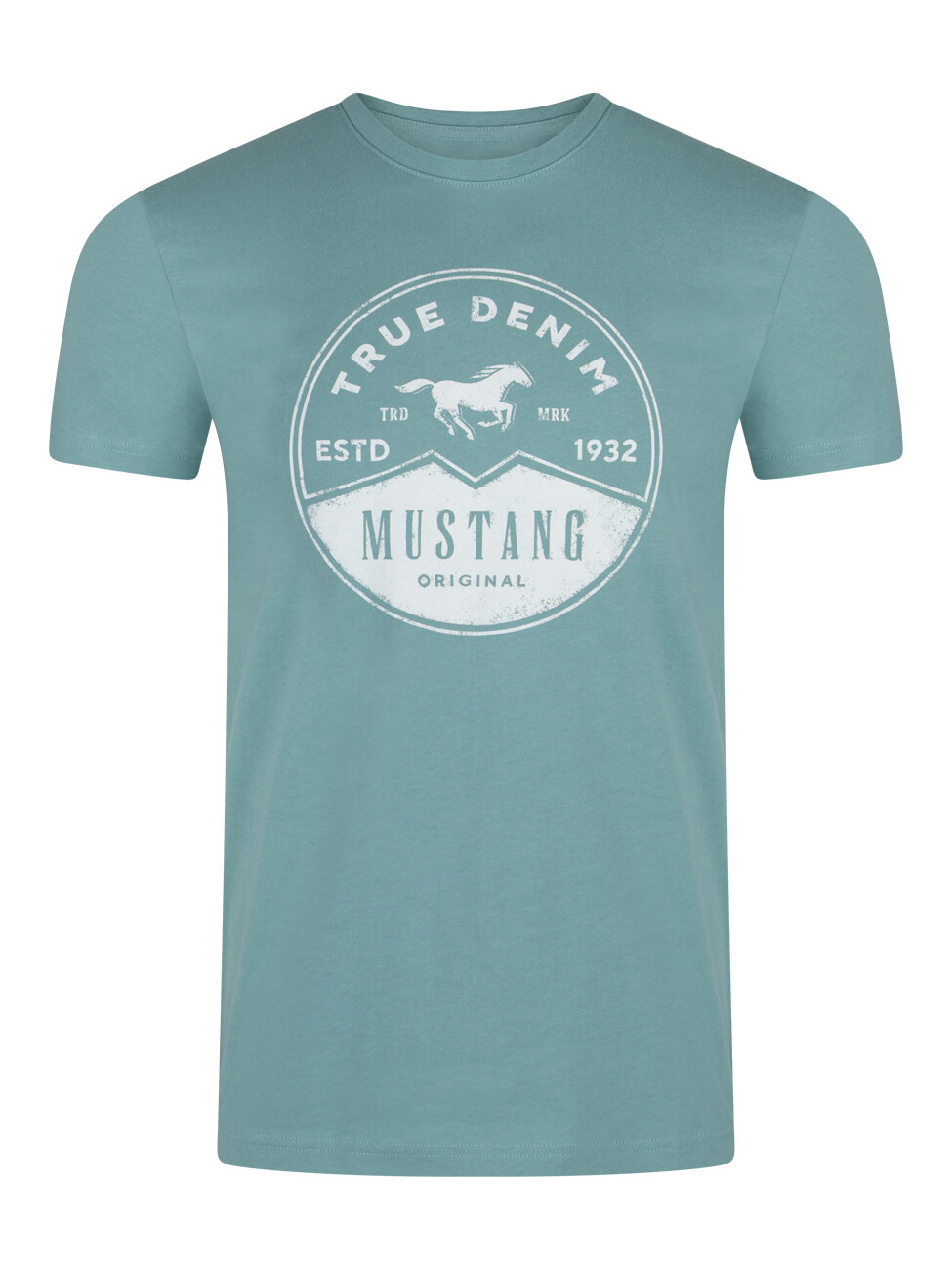 Футболка Mustang Basic Print Tee, бирюзовый
Футболка Mustang Basic Print Tee, бирюзовый