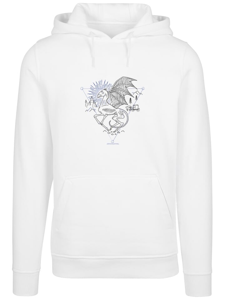 Пуловер F4NT4STIC Harry Potter Thestral Line Art, белый
Пуловер F4NT4STIC Harry Potter Thestral Line Art, белый