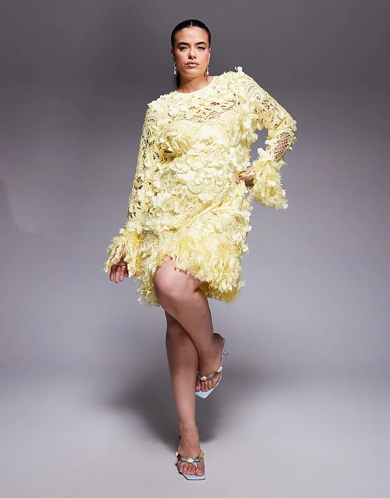 Мини-платье ASOS LUXE Curve с объемным цветочным узором и отделкой из искусственных перьев цвета пахты
Мини-платье ASOS LUXE Curve с объемным цветочным узором и отделкой из искусственных перьев цвета пахты