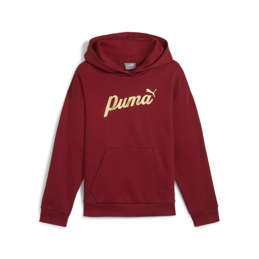 Толстовка с капюшоном ESS+ SCRIPT для девочек PUMA Intense Red Gold Foil
Толстовка с капюшоном ESS+ SCRIPT для девочек PUMA Intense Red Gold Foil