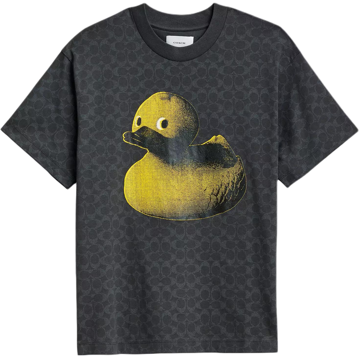 Футболка унисекс серая COACH, серый
Футболка унисекс серая COACH, серый