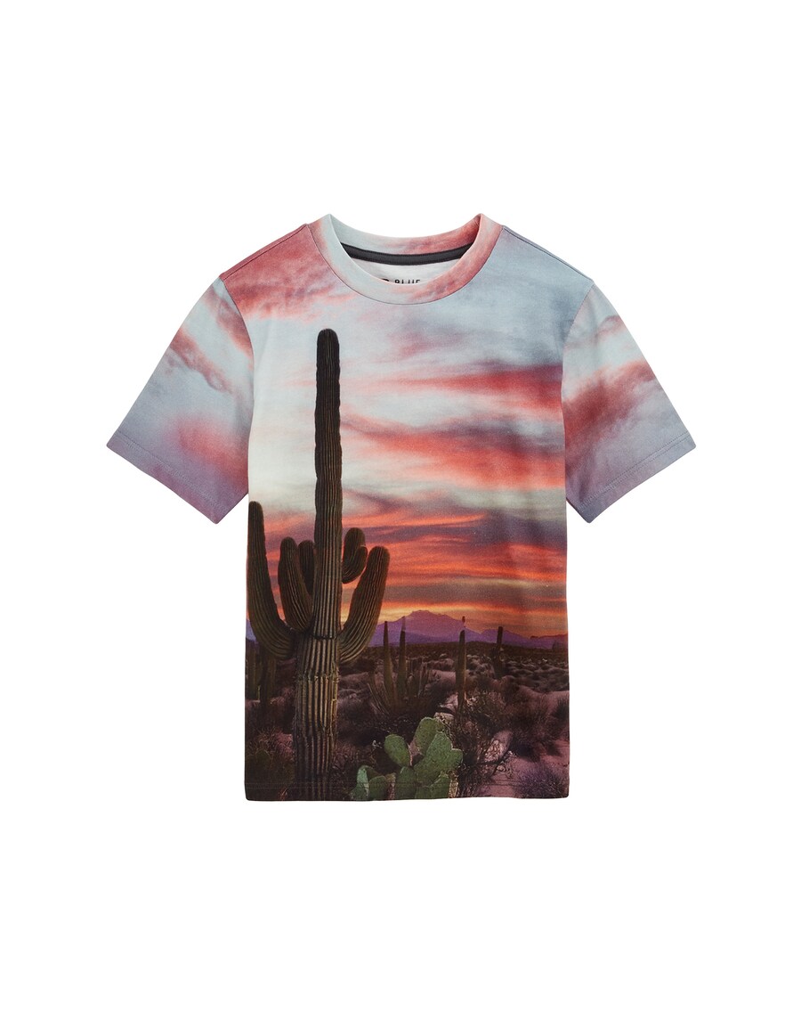 Футболка WE Fashion, Pink
Футболка WE Fashion, Pink