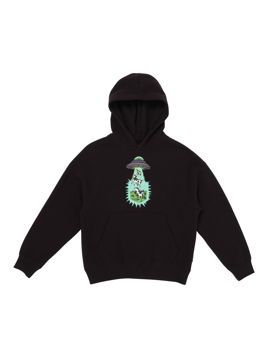 Худи Volcom Sweatshirt, черный
Худи Volcom Sweatshirt, черный