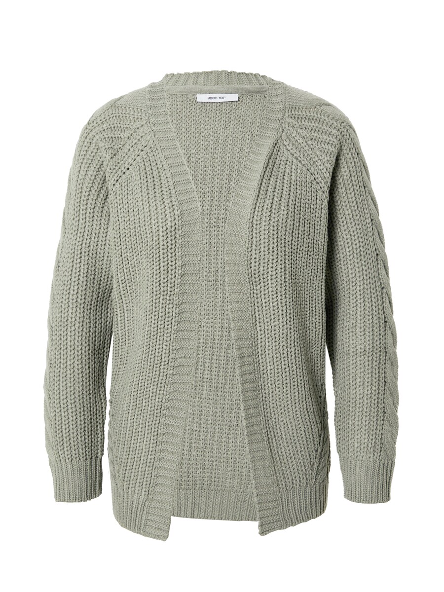 Вязаный кардиган ABOUT YOU Saphira, пастельный зеленый
Вязаный кардиган ABOUT YOU Saphira, пастельный зеленый