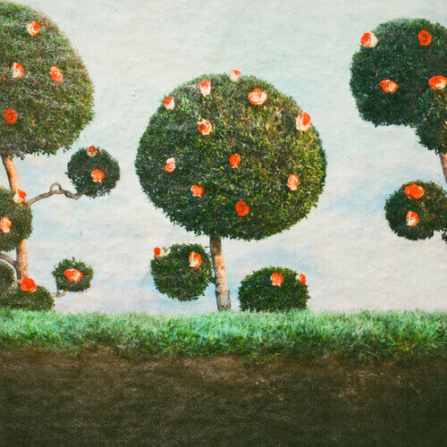 CD диск Midnight Sister: Painting the Roses
CD диск Midnight Sister: Painting the Roses