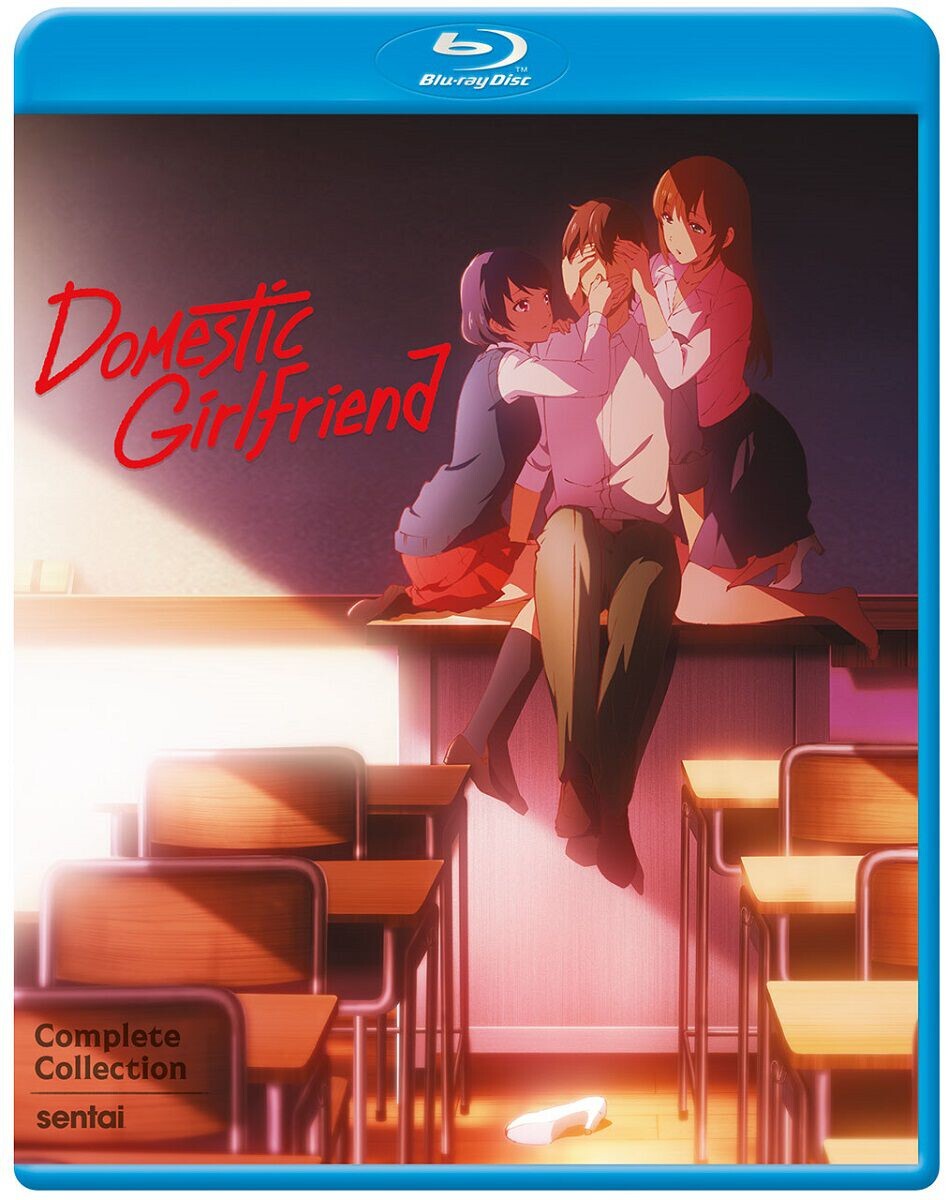 Blu-Ray диск Domestic Girlfriend Blu-ray
Blu-Ray диск Domestic Girlfriend Blu-ray