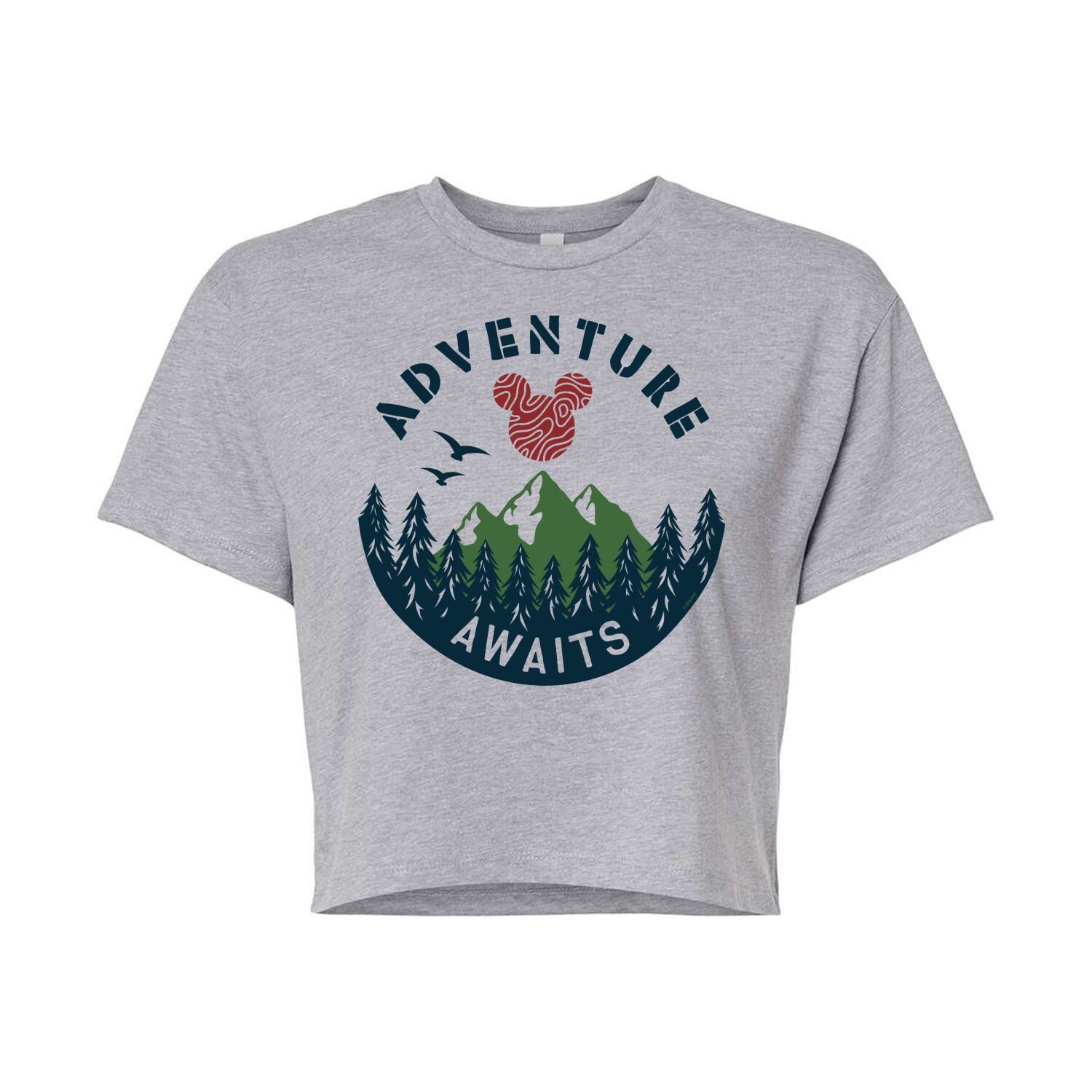 Укороченная футболка с рисунком «Микки Маус и его друзья» от Disney для юниоров Licensed Character, серый
Укороченная футболка с рисунком «Микки Маус и его друзья» от Disney для юниоров Licensed Character, серый