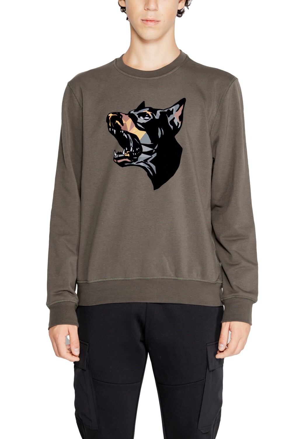 Толстовка мужская Antony Morato с принтом собаки, коричневый
Толстовка мужская Antony Morato с принтом собаки, коричневый