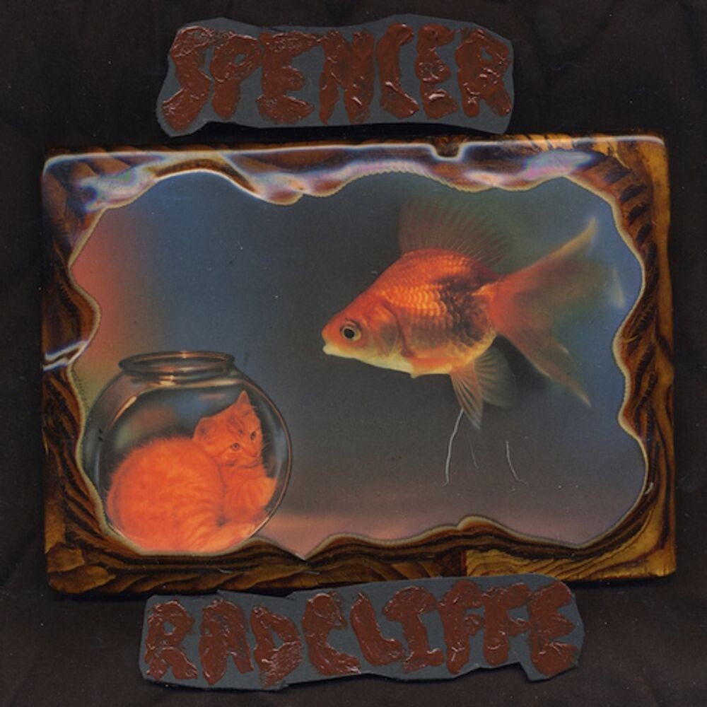 Диск CD Looking In - Spencer Radcliffe
Диск CD Looking In - Spencer Radcliffe