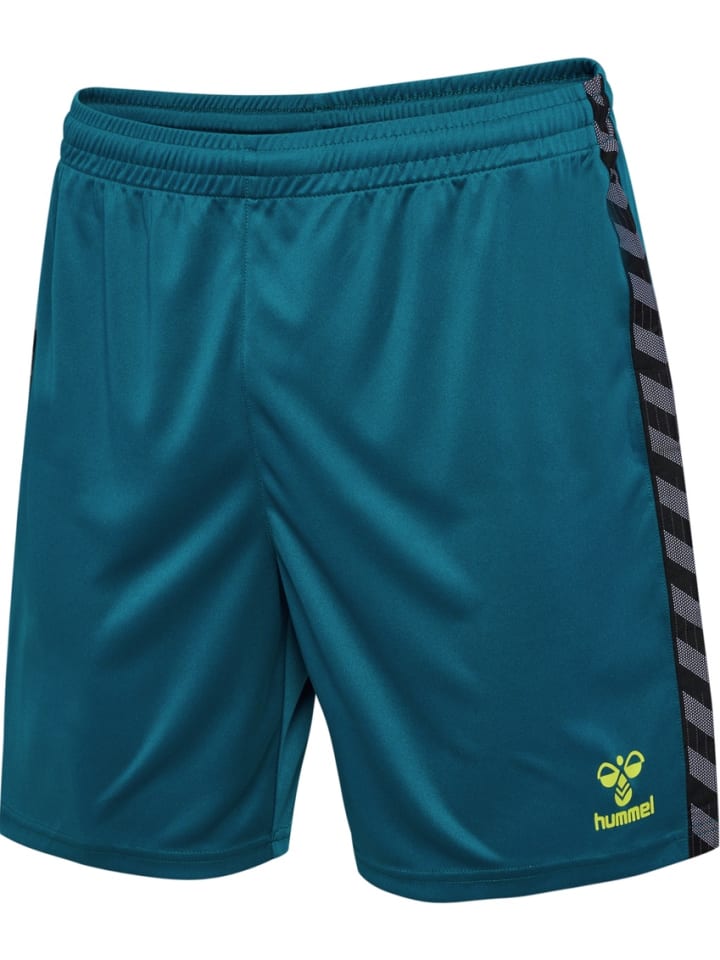 Короткие шорты Hmlauthentic Pl Shorts синего цвета Hummel
Короткие шорты Hmlauthentic Pl Shorts синего цвета Hummel