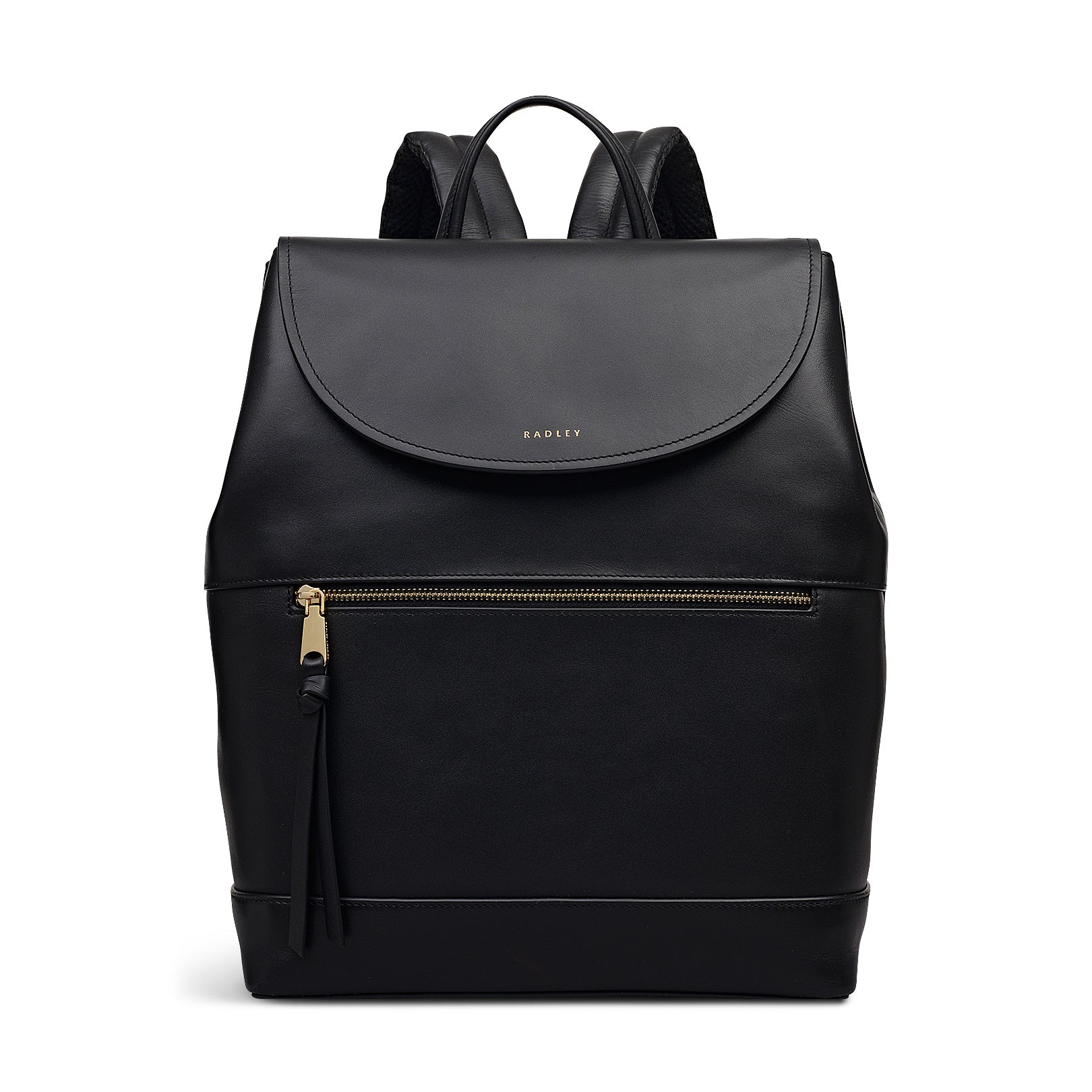 Большой рюкзак Albion Street Ziptop Radley, черный
Большой рюкзак Albion Street Ziptop Radley, черный