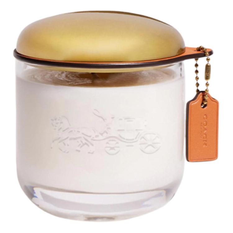 COACH Металлическая сумка-коробка женская белая
COACH Металлическая сумка-коробка женская белая