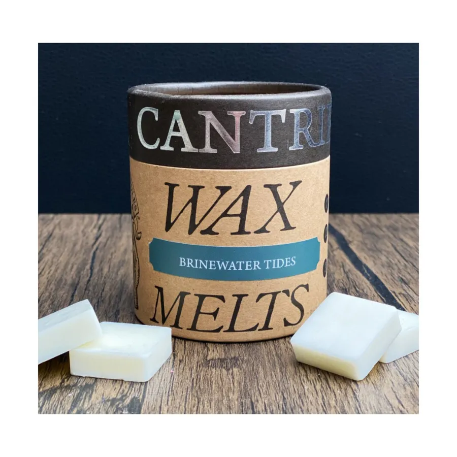 Расплав воска Brinewater Tides, Wax Melts (Cantrip Candles)
Расплав воска Brinewater Tides, Wax Melts (Cantrip Candles)