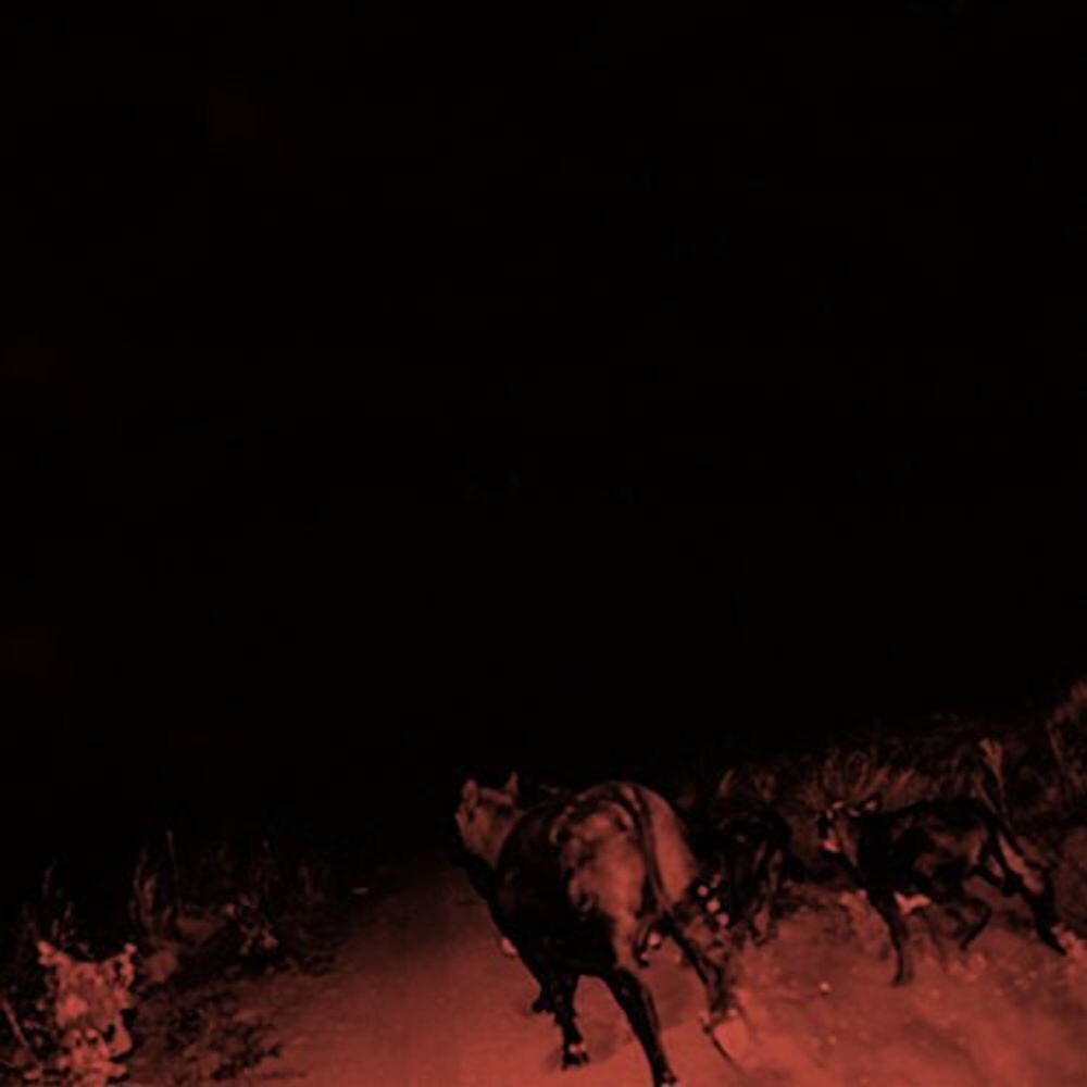 Диск CD Shadow On Everything - Bambara
Диск CD Shadow On Everything - Bambara