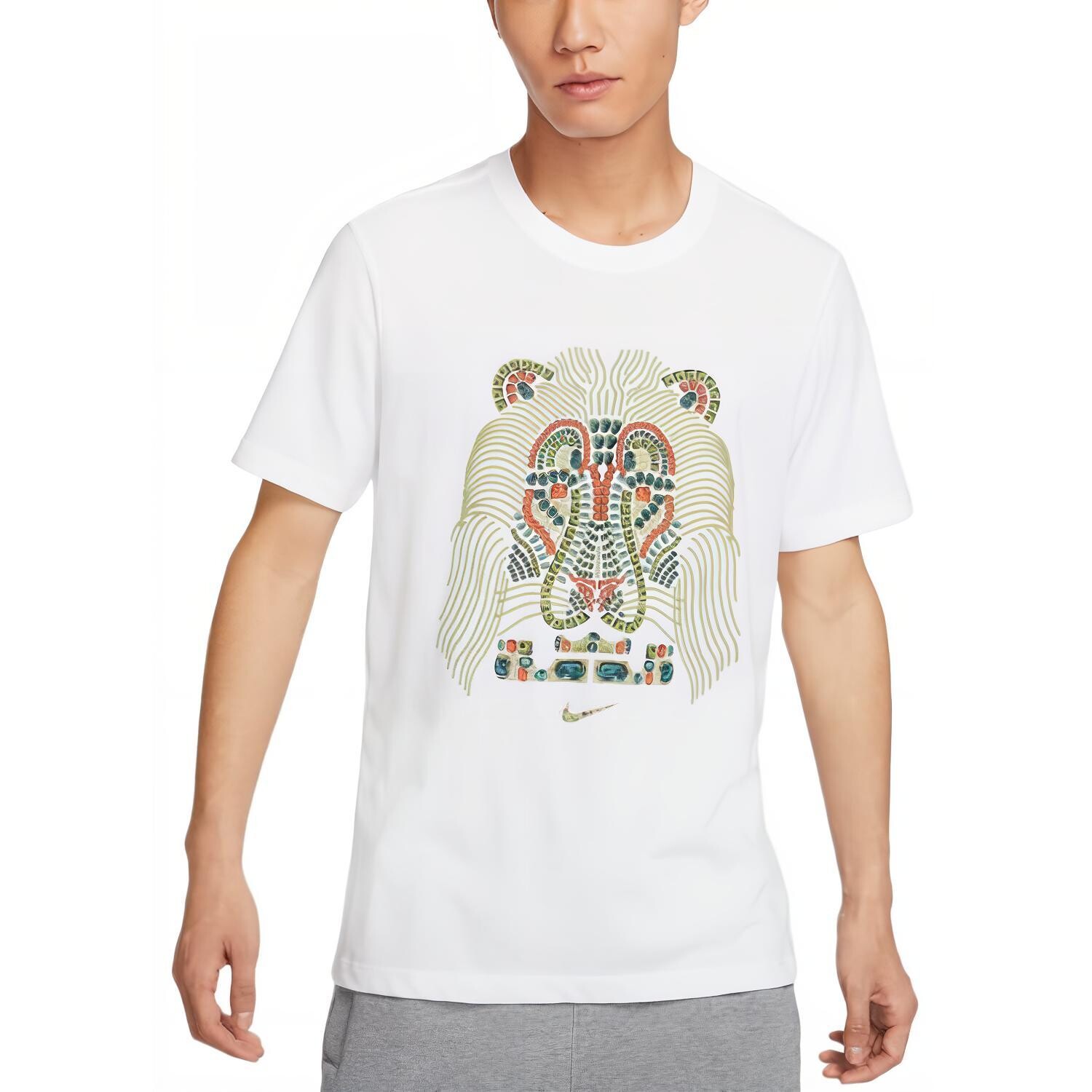 Футболка мужская белая Nike, белый
Футболка мужская белая Nike, белый