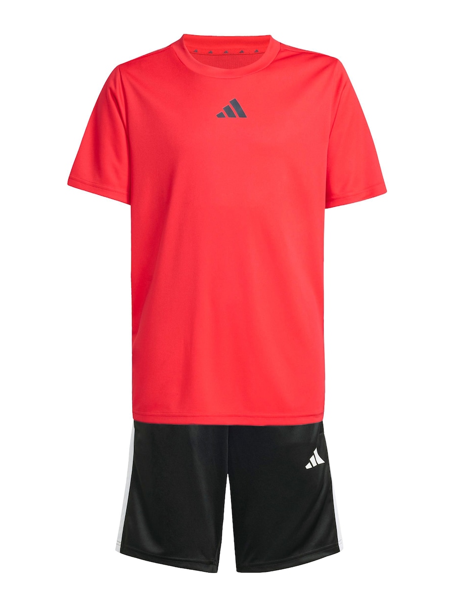 Спортивный костюм ADIDAS SPORTSWEAR Train Essentials, красный
Спортивный костюм ADIDAS SPORTSWEAR Train Essentials, красный