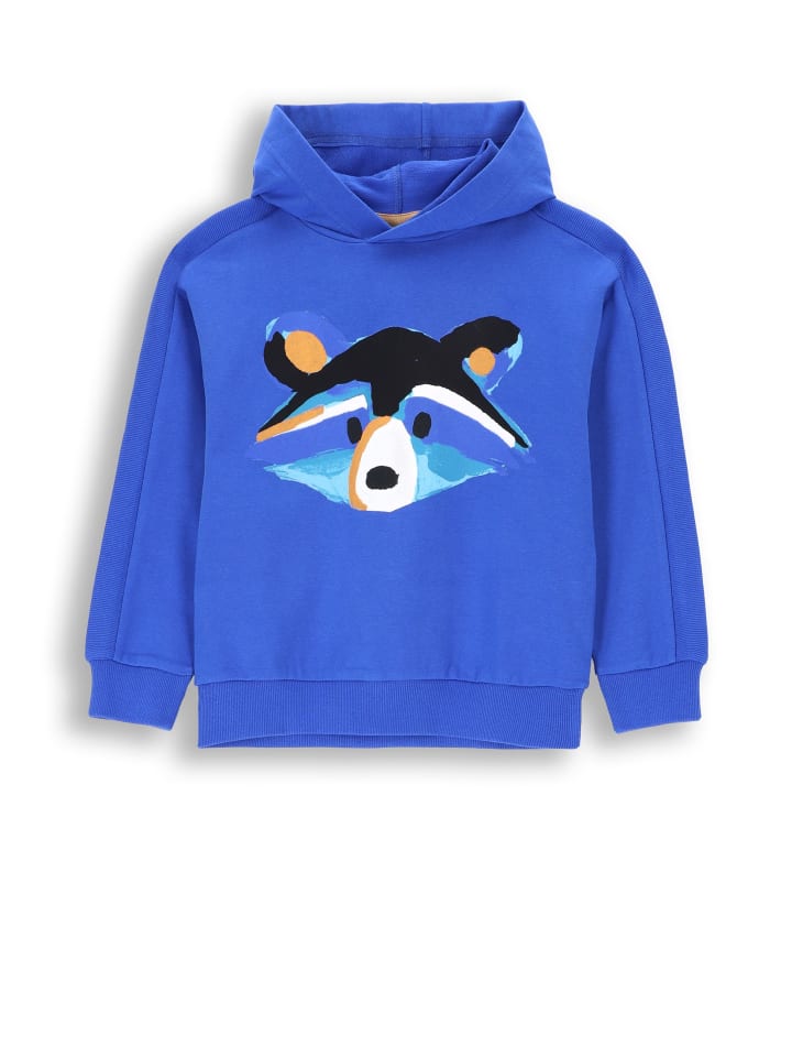 Толстовка Coccodrillo, кобальтовый синий
Толстовка Coccodrillo, кобальтовый синий