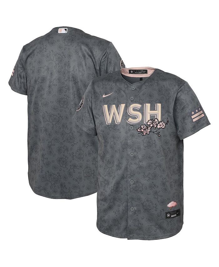 Реплика унисекс серого цвета Washington Nationals City Connect для дошкольников Nike, серый
Реплика унисекс серого цвета Washington Nationals City Connect для дошкольников Nike, серый
