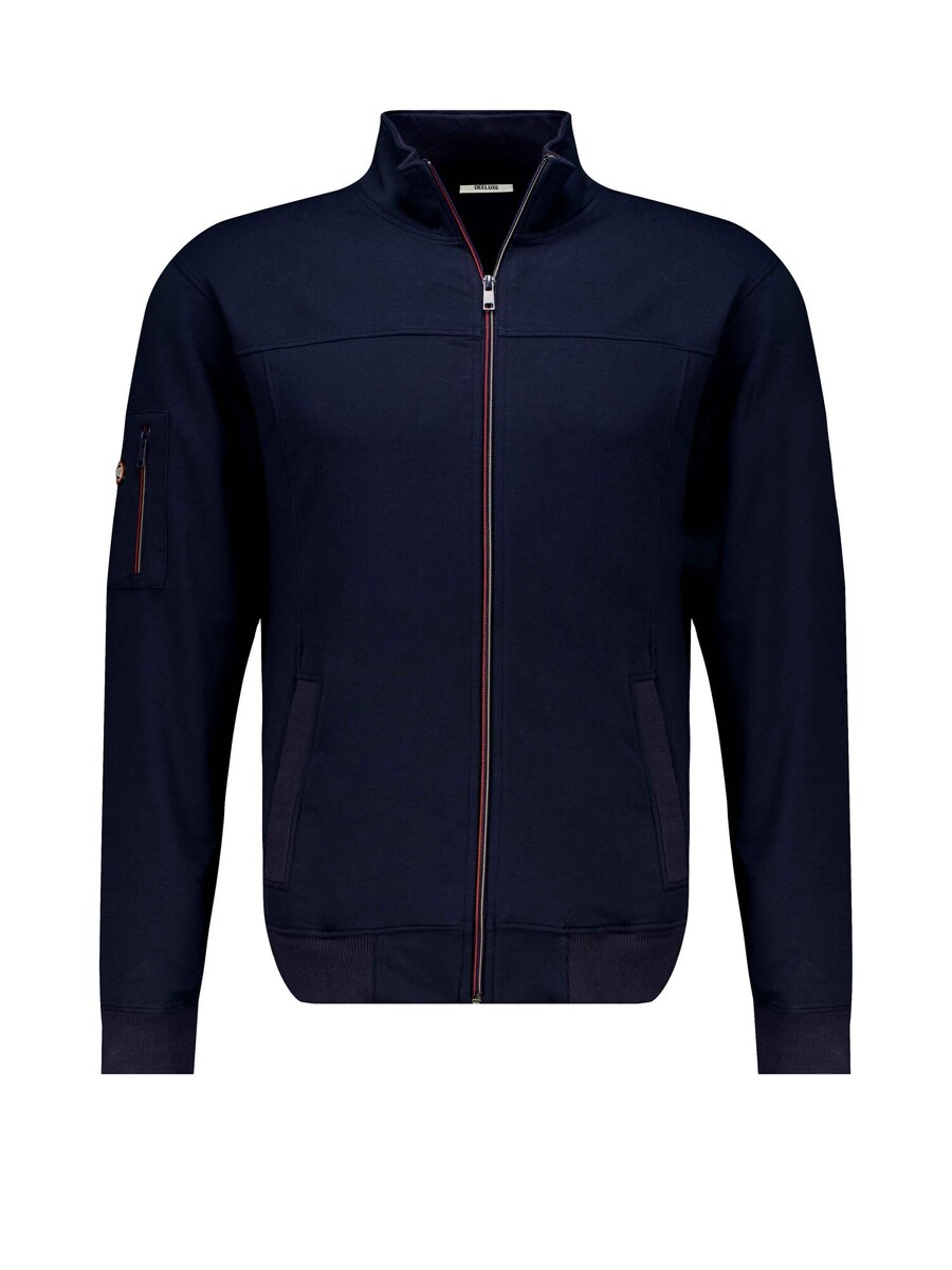 Толстовка с капюшоном на молнии Deeluxe FLASH, темно-синий
Толстовка с капюшоном на молнии Deeluxe FLASH, темно-синий