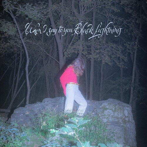 Аудиокассета Common Holly: When I Say To You Black Lightning
Аудиокассета Common Holly: When I Say To You Black Lightning