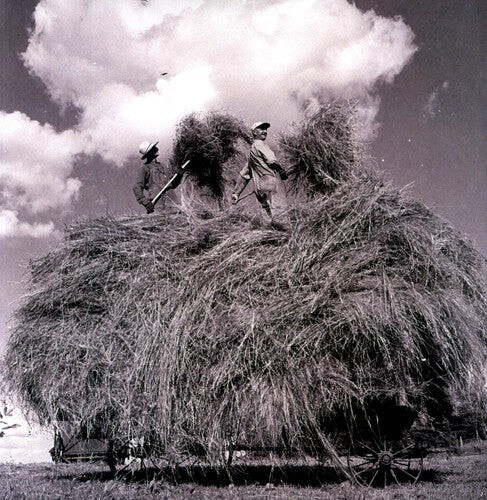 Виниловая пластинка Whitmore, William Elliott: Field Songs
Виниловая пластинка Whitmore, William Elliott: Field Songs