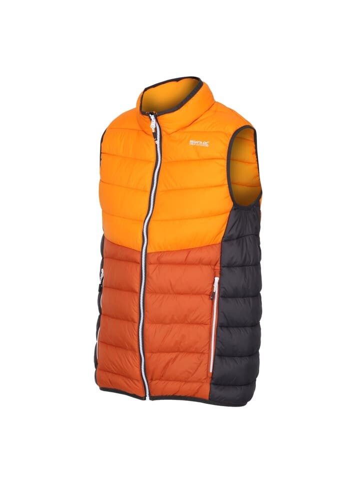 Функциональный жилет Regatta Weste Harrock II, оранжевый
Функциональный жилет Regatta Weste Harrock II, оранжевый