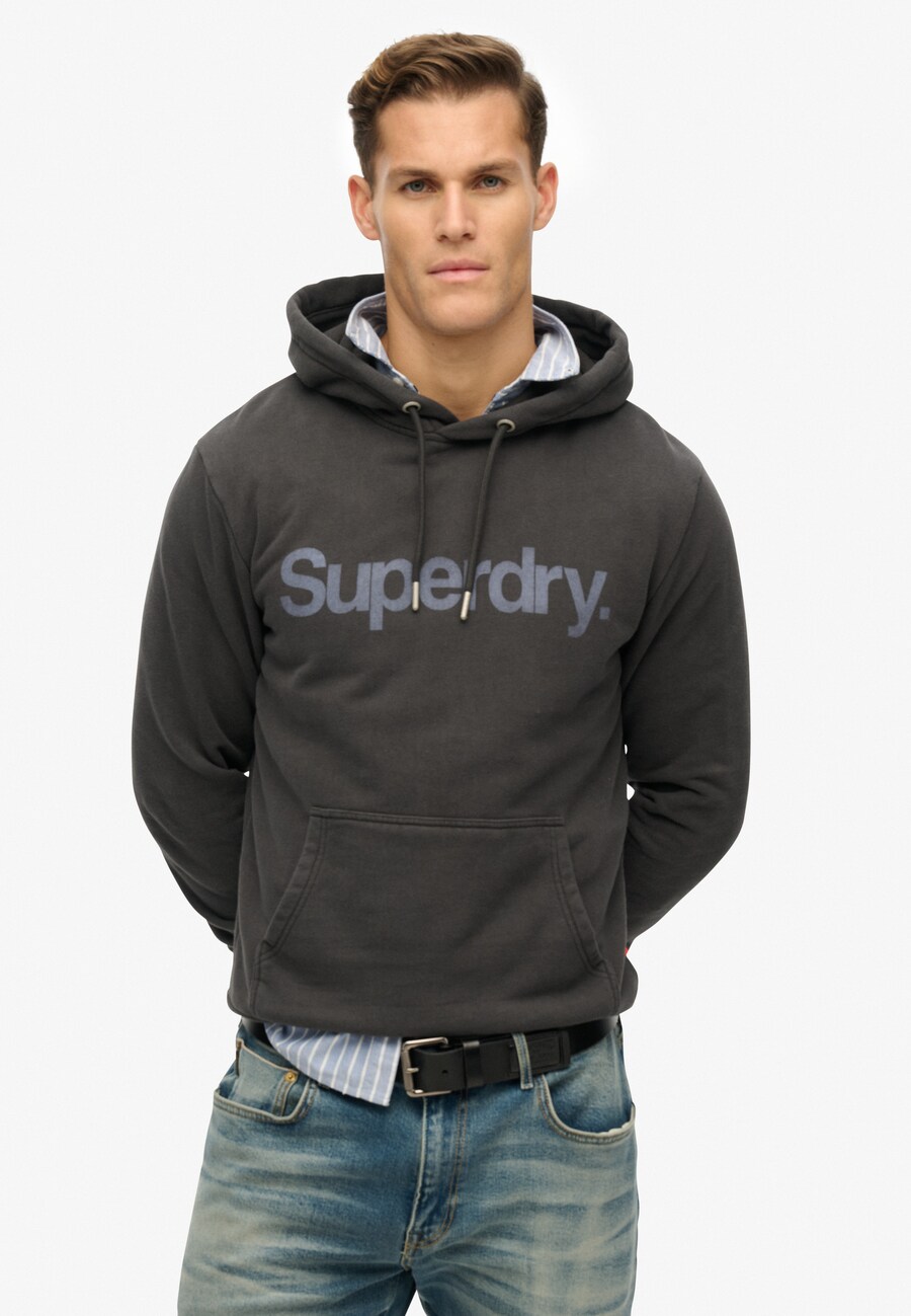 Толстовка с капюшоном Superdry Sweatshirt, черный
Толстовка с капюшоном Superdry Sweatshirt, черный