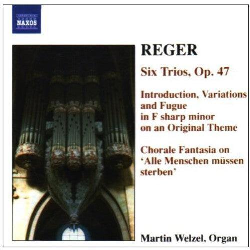 CD диск Reger / Wetzel: Organ Works 6
CD диск Reger / Wetzel: Organ Works 6