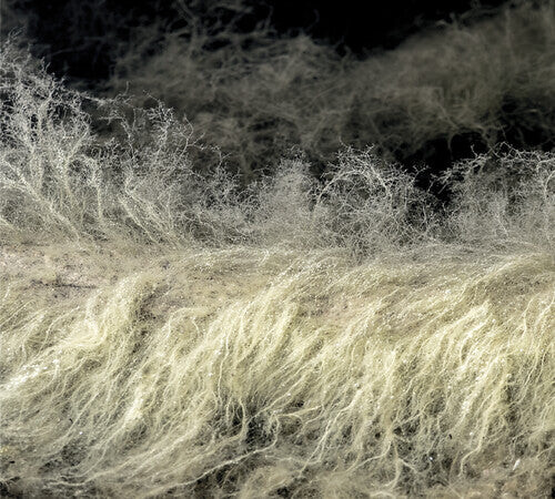 CD диск Bauchet, Lyonel: Diver
CD диск Bauchet, Lyonel: Diver