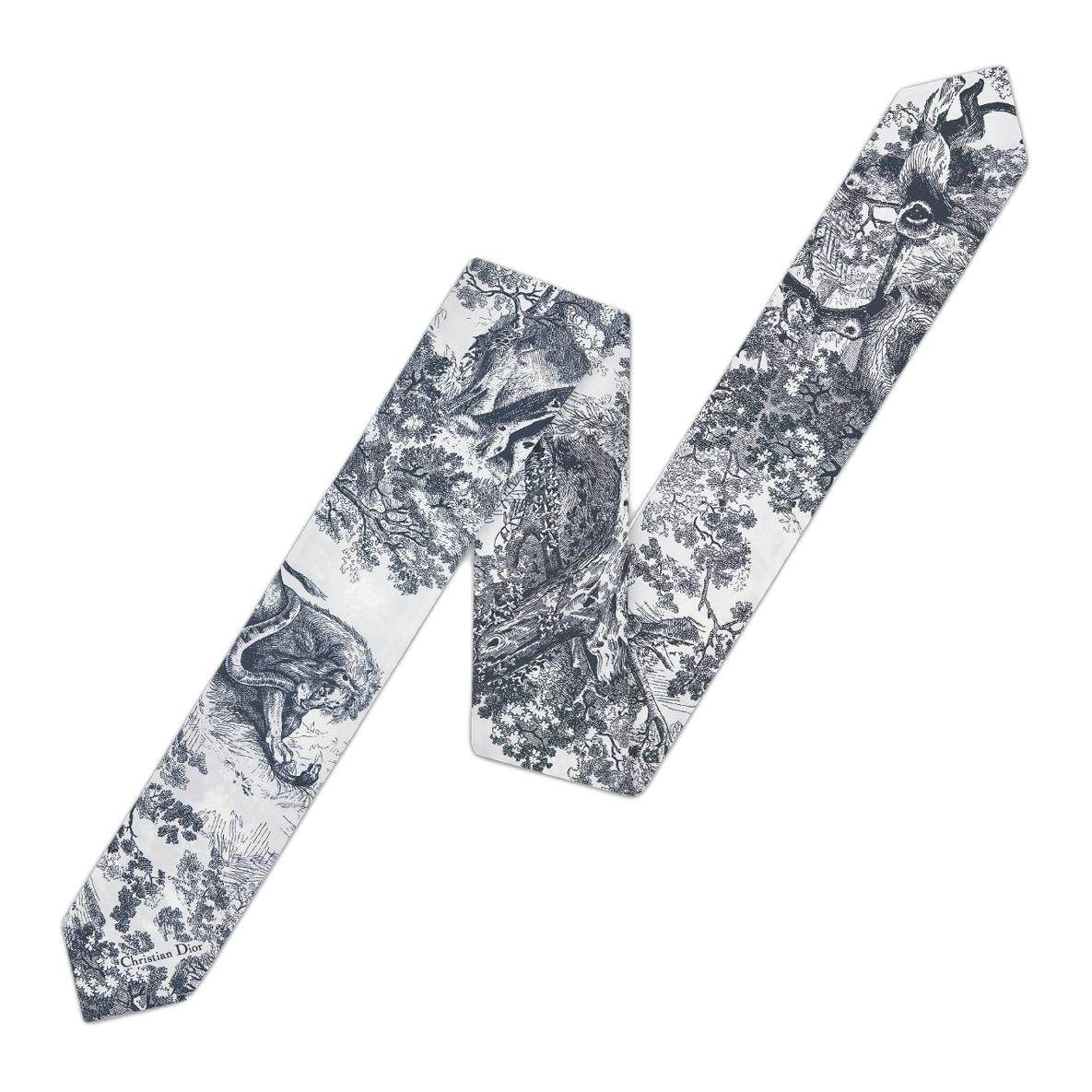 DIOR Шелк, твил, шелковый шарф Unisex Blue
DIOR Шелк, твил, шелковый шарф Unisex Blue