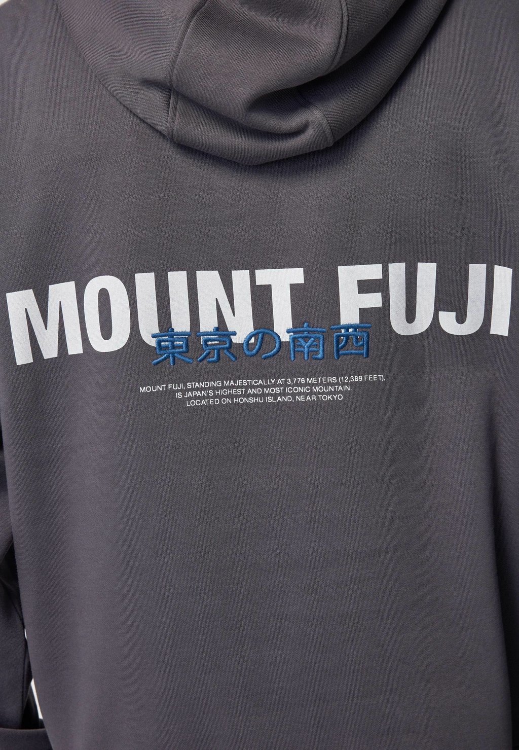 Толстовка с капюшоном GRAPHIC Next, серый
Толстовка с капюшоном GRAPHIC Next, серый