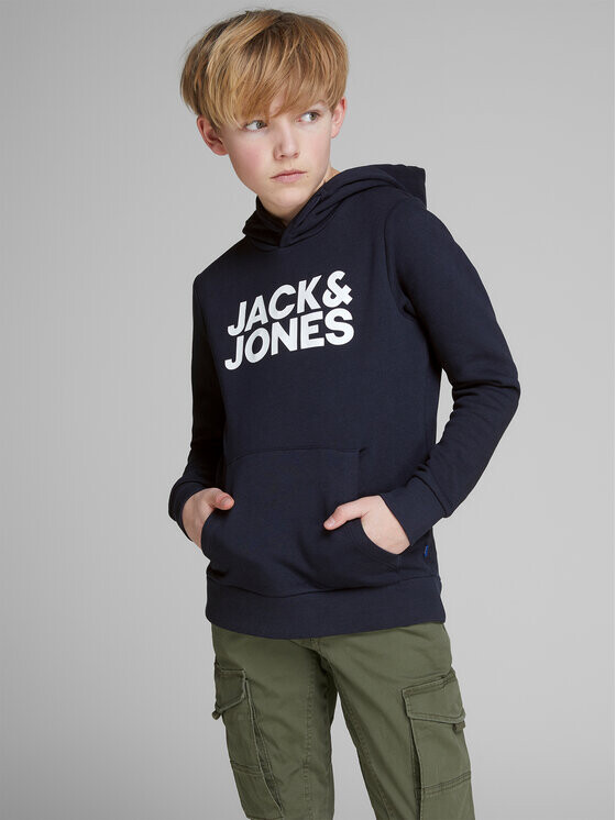 Толстовка обычного кроя Jack&Jones, синий
Толстовка обычного кроя Jack&Jones, синий