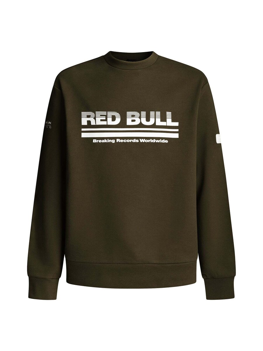 Толстовка Red Bull Racing x Pepe Jeans, цвет Fir
Толстовка Red Bull Racing x Pepe Jeans, цвет Fir