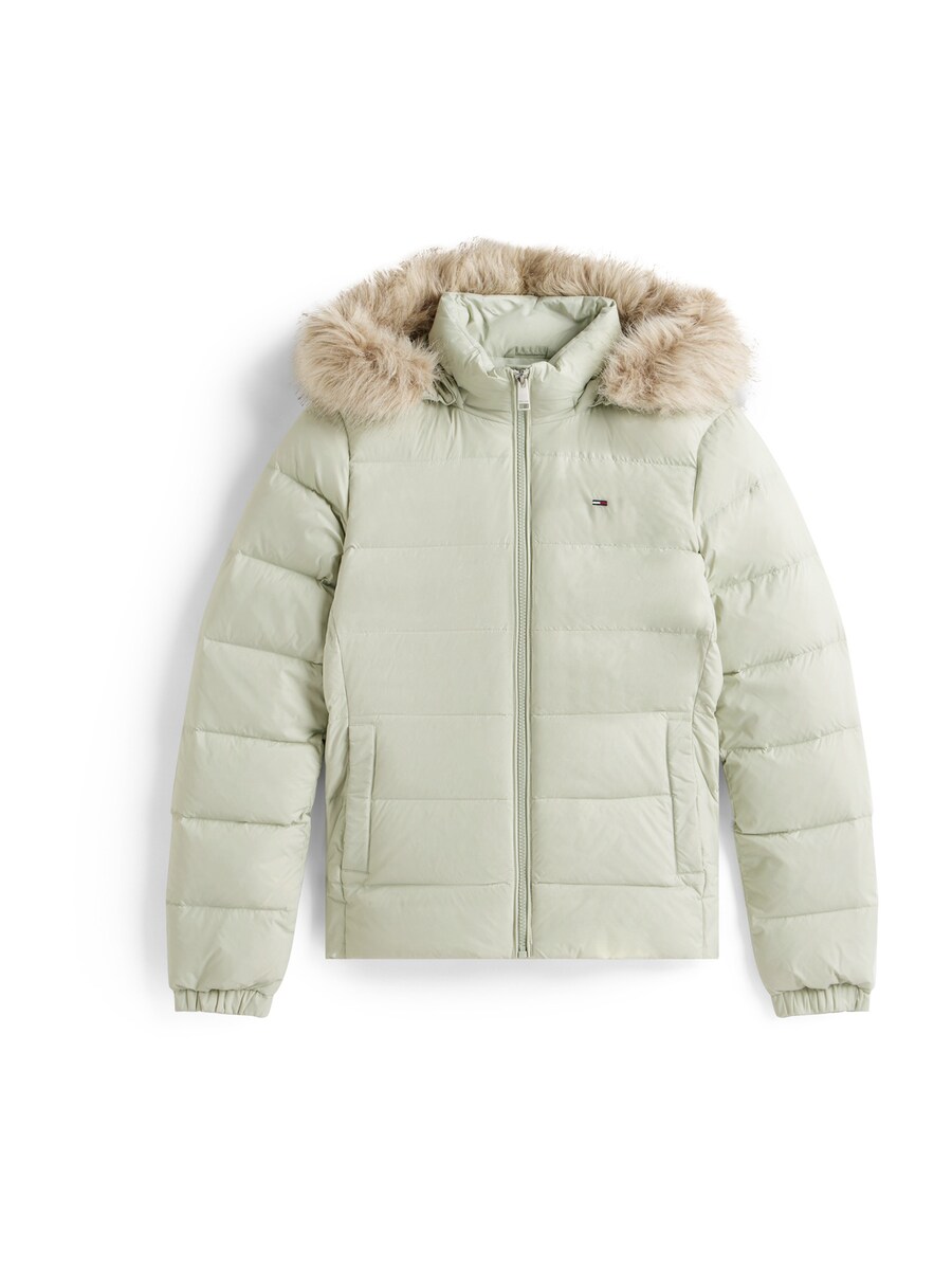 Зимняя куртка Tommy Jeans, пастельно-зеленый
Зимняя куртка Tommy Jeans, пастельно-зеленый