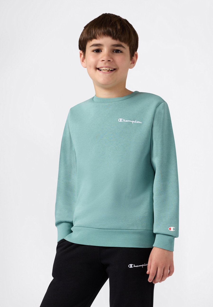 Толстовка Champion ICONS CREW NECK , Light Green
Толстовка Champion ICONS CREW NECK , Light Green