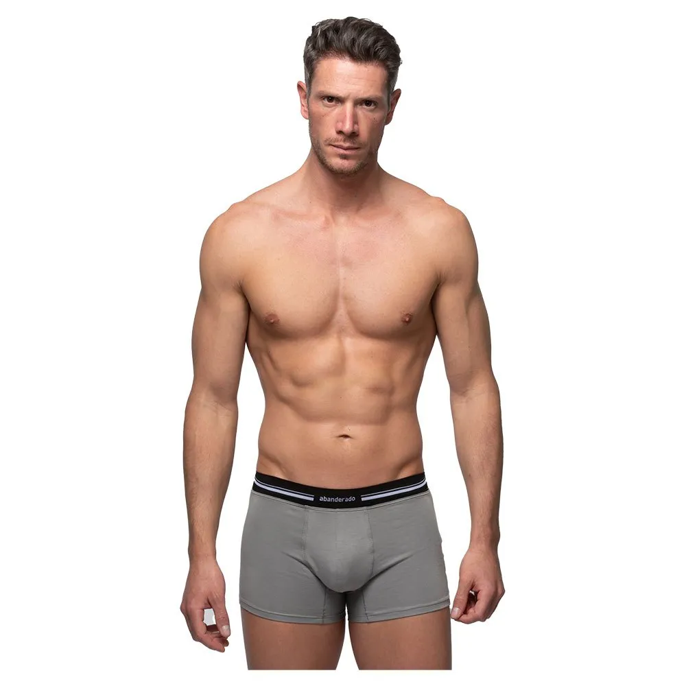 Трусы-боксеры Abanderado ASA077I.134, серый
Трусы-боксеры Abanderado ASA077I.134, серый