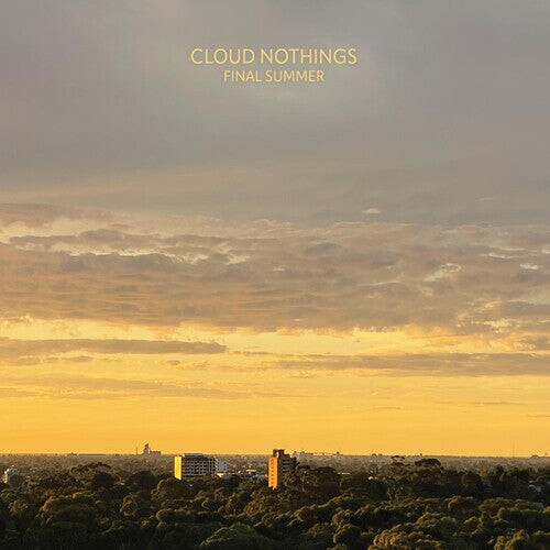 Виниловая пластинка Cloud Nothings - Final Summer
Виниловая пластинка Cloud Nothings - Final Summer