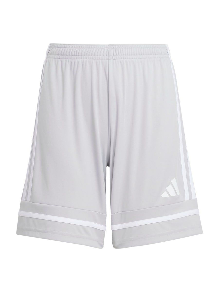 Обычные спортивные штаны ADIDAS PERFORMANCE Squadra 25, серый
Обычные спортивные штаны ADIDAS PERFORMANCE Squadra 25, серый