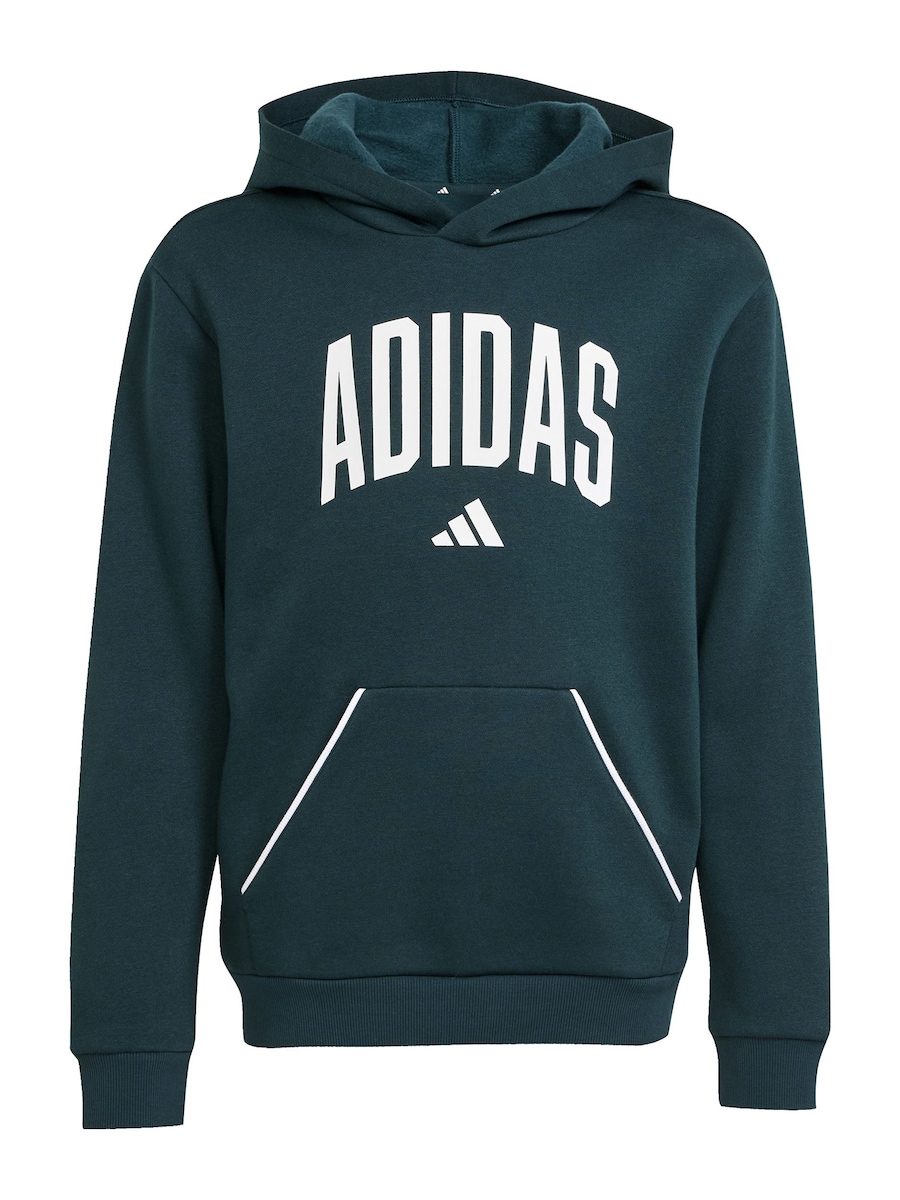 Спортивная толстовка ADIDAS SPORTSWEAR, Fir
Спортивная толстовка ADIDAS SPORTSWEAR, Fir