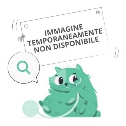 Жидкие румяна BioNike Defence Color Lovely Touch 401 Rose 5 мл
Жидкие румяна BioNike Defence Color Lovely Touch 401 Rose 5 мл