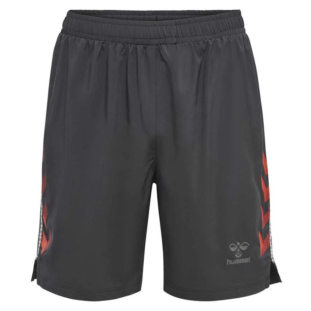 Шорты Hummel Pro Grid Game shorts, серый
Шорты Hummel Pro Grid Game shorts, серый