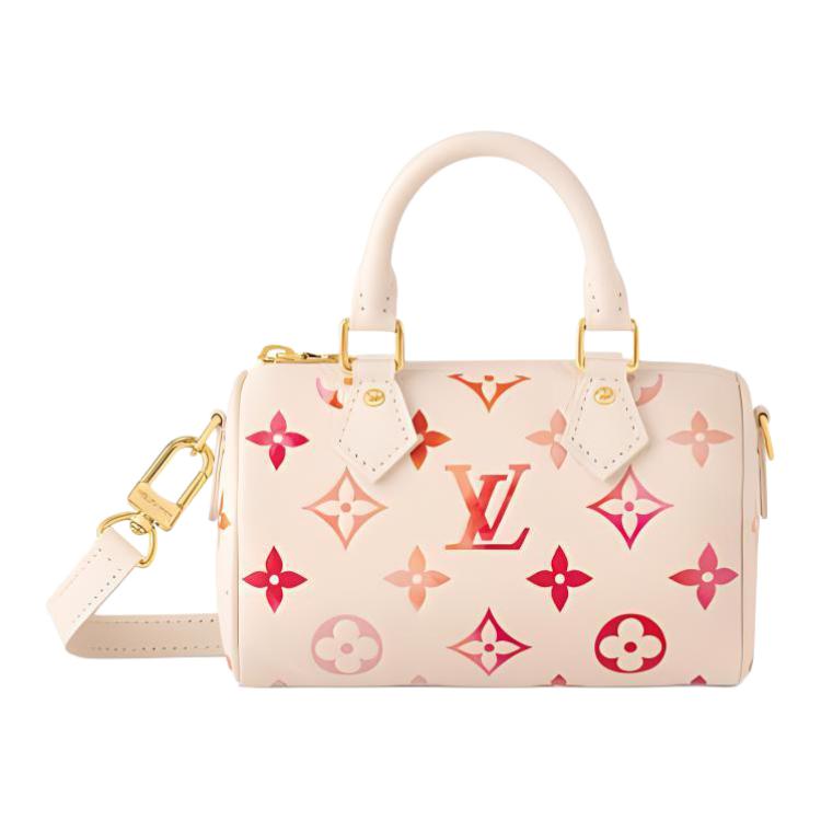 Луи Виттон Нано Спиди
Луи Виттон Нано Спиди