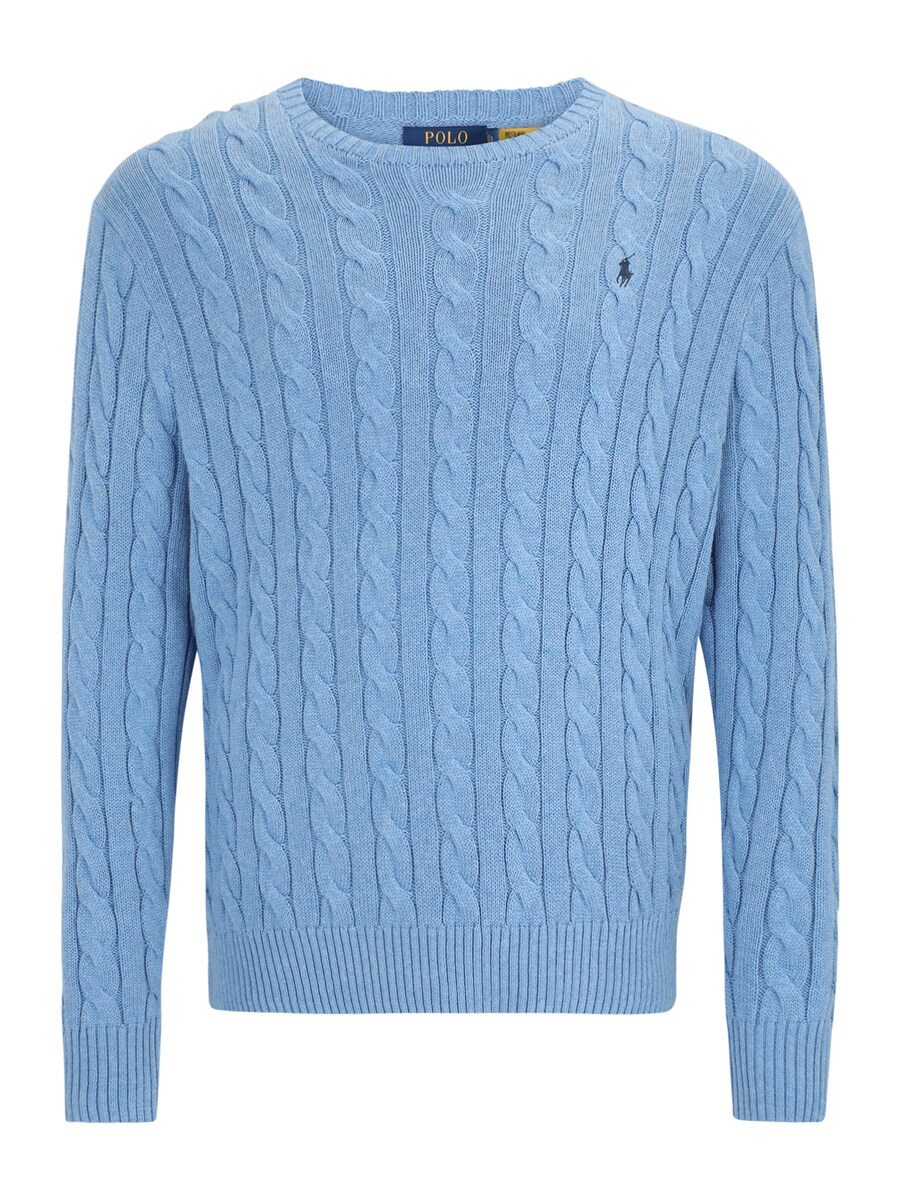 Свитер Polo Ralph Lauren Big & Tall DRIVER, темно-синий/светло-голубой
Свитер Polo Ralph Lauren Big & Tall DRIVER, темно-синий/светло-голубой