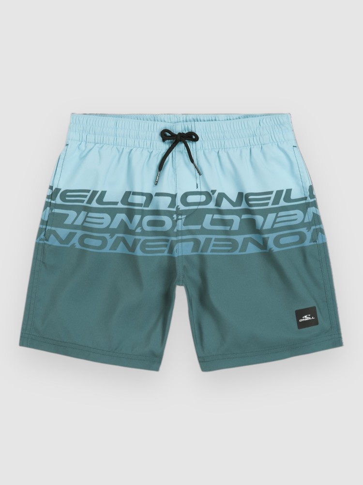 Пляжные шорты O'Neill Cali Stripe 14″ Kids Boardshorts, blue upside down
Пляжные шорты O'Neill Cali Stripe 14″ Kids Boardshorts, blue upside down