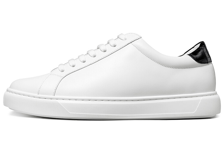 Кеды мужские, обувь для скейтбординга низкая белый Thom Wills
Кеды мужские, обувь для скейтбординга низкая белый Thom Wills