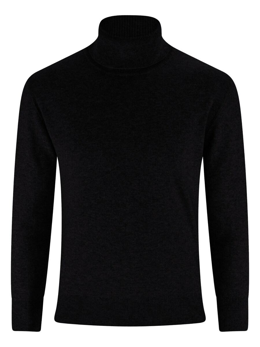 Водолазка CASH-MERE.CH Sweater, черный
Водолазка CASH-MERE.CH Sweater, черный