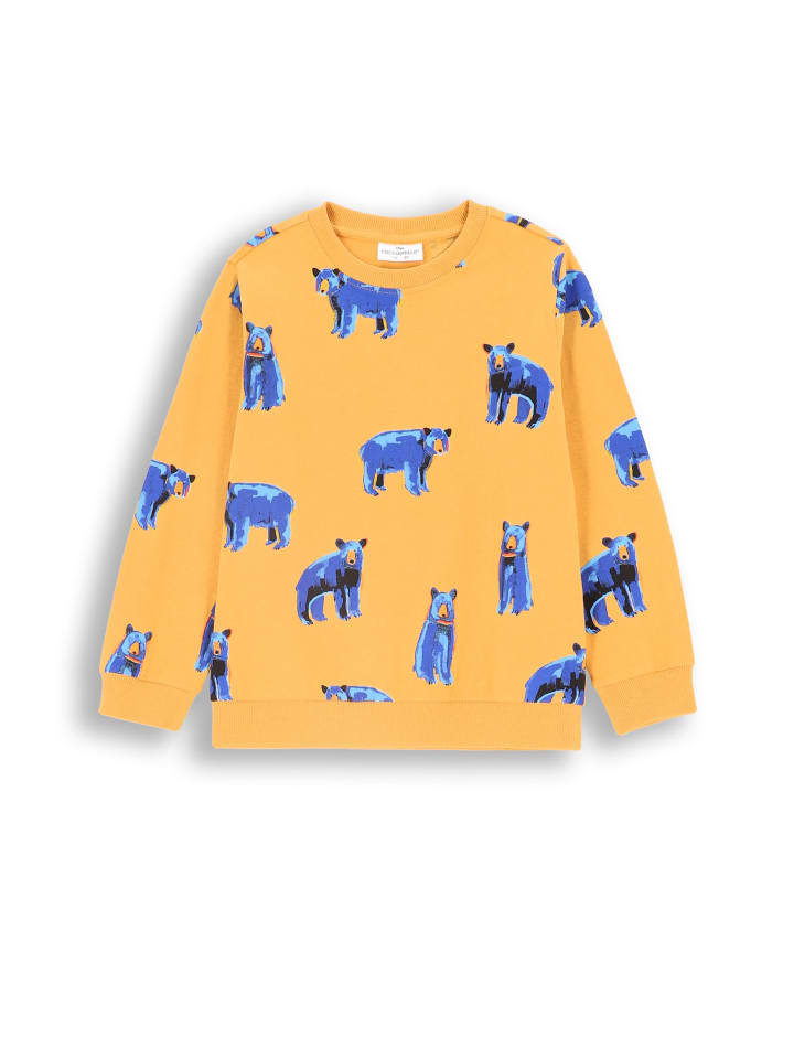 Рубашка с длинным рукавом Coccodrillo
Рубашка с длинным рукавом Coccodrillo